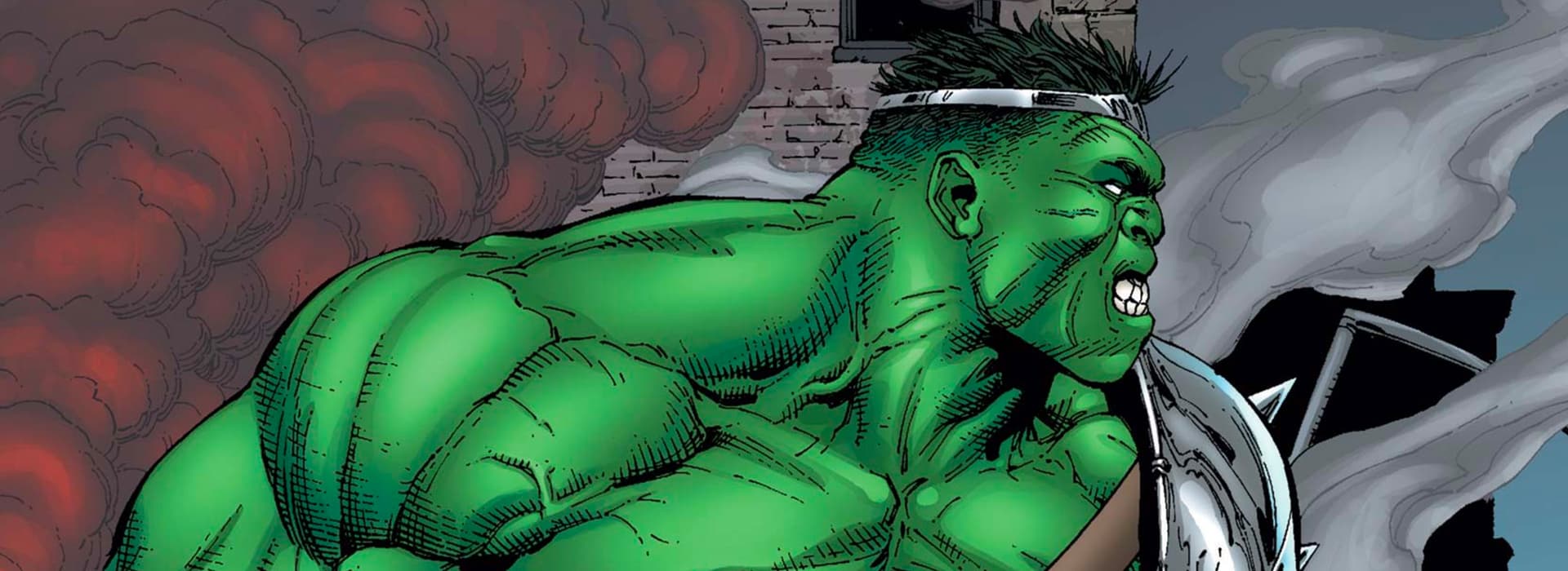 Hulk (Bruce Banner) 