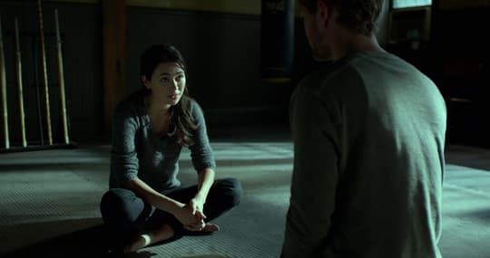 Colleen Wing and Iron Fist (Danny Rand)