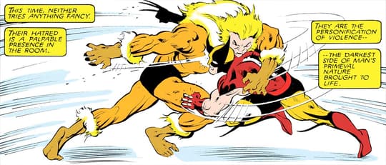 Wolverine fights one of his biggest nemeses, Sabretooth.