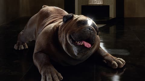Image for ‘Marvel’s Inhumans’: Who is Lockjaw?