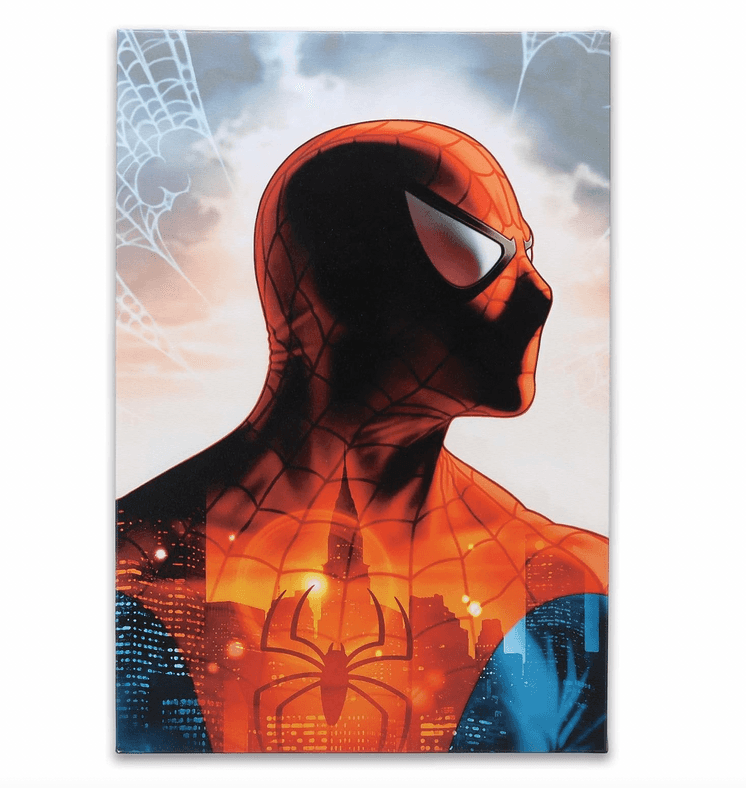 Shop it <a href=https://www.amazon.com/Marvel-Spider-Man-Headshot-Gallery-Wrapped/dp/B0C6R6K6LR>here</a>