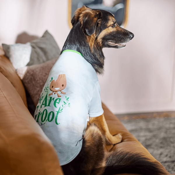 Marvel's We Are Groot Tie Dye Dog & Cat T-shirt