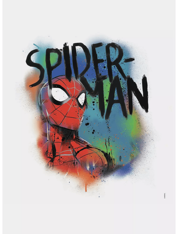 Shop it <a href=https://www.boxlunch.com/product/marvel-spider-man-classic-graffiti-burst-peel-and-stick-giant-wall-decals/15101532.html>here</a>