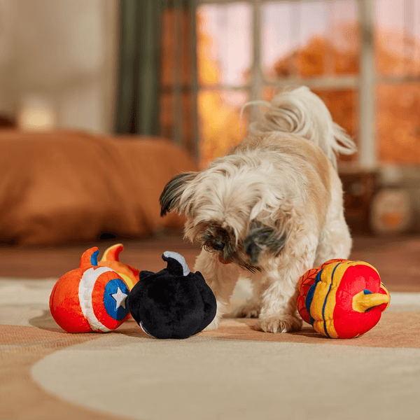 Marvel 's Halloween Heroes Pumpkin Plush Squeaky Dog Toy, 5 count, Medium