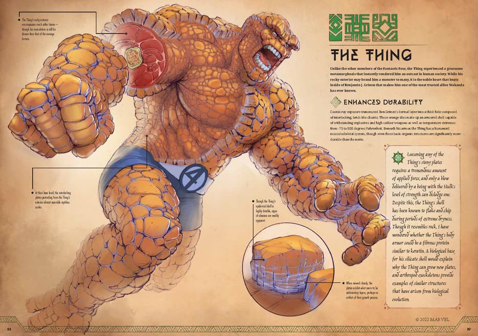 Marvel Anatomy: A Scientific Study of the Superhuman - The Thing illustration by Jonah Lobe