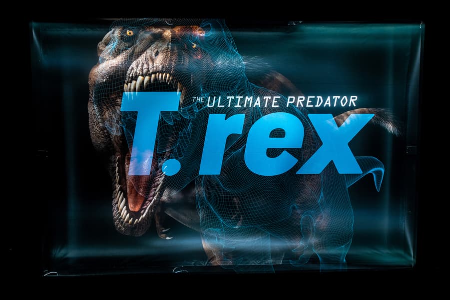 T. rex The Ultimate Predator