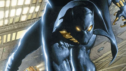 Image for The History of the Black Panther: 1997-1998
