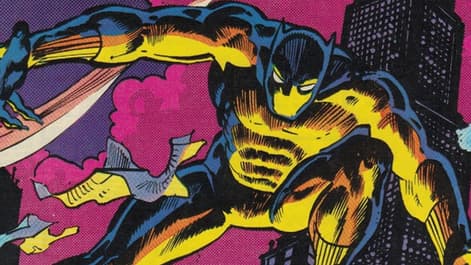 Image for The History of the Black Panther: 1979-1980