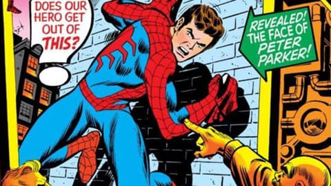 Image for The History of Spider-Man: 1972