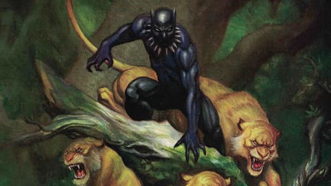 Image for Follow the History of the Black Panther Pt. 40