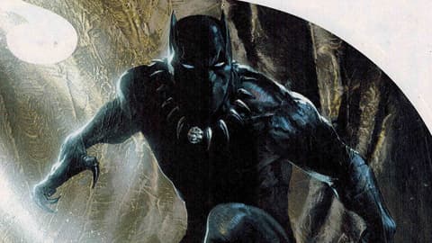 Image for Follow the History of the Black Panther Pt. 38