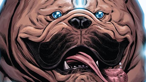 Lockjaw is a Good Boy