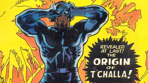 Image for The History of the Black Panther: 1971-1972