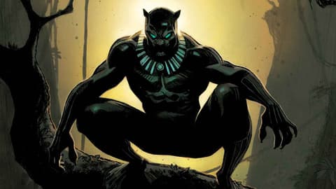 Image for Black Panther: Panthers Past