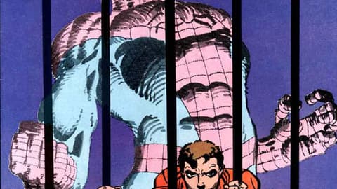 Image for Spider-Man: Locked Up