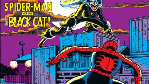 Spider-Man vs. the Black Cat