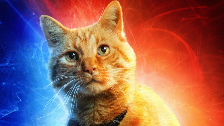 'Captain Marvel' Drops 10 Epic Character Posters Including One For Goose the Cat