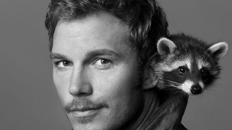 Oreo the Raccoon, the Model for Rocket in 'Guardians of the Galaxy' Has Passed Away