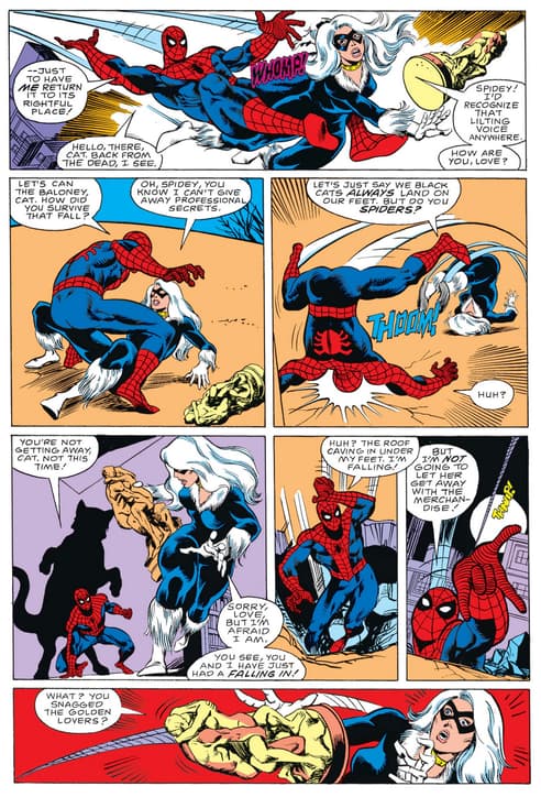 Spidey tussles with Black Cat