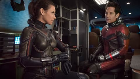 The Wasp and Ant-Man