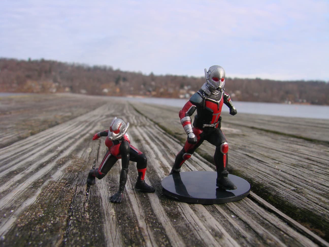 Ant-Man and the Wasp Diamond Select figures