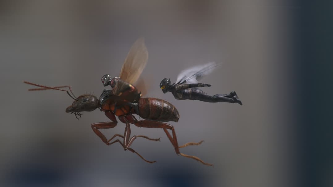 Ant-Man flying with the Wasp