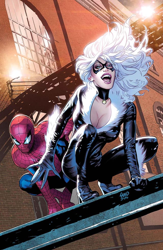 Black Cat and SpiderMan Their Roller Coaster Relationship Marvel