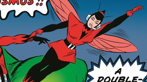 Image for Kirby 100: The Wasp