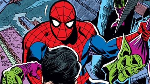 Image for The History of Spider-Man: 1978