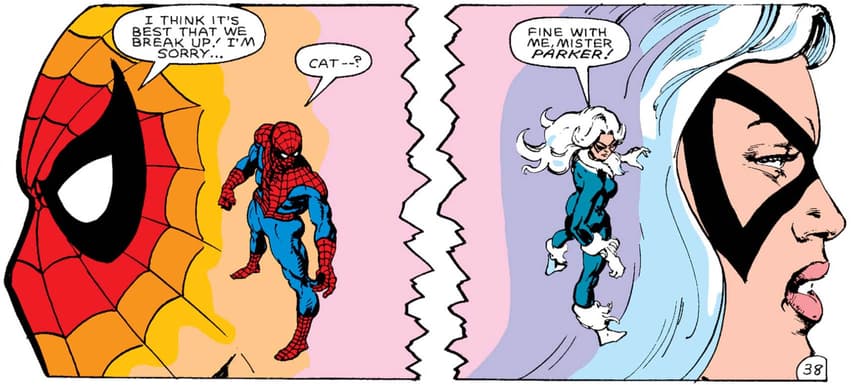 Black Cat and Spidey break up