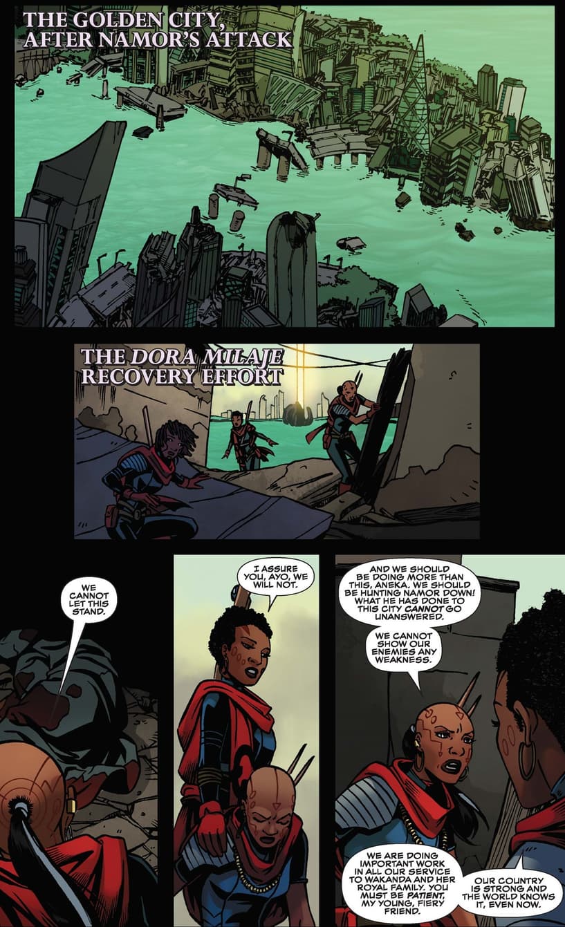A pivotal point in BLACK PANTHER: WORLD OF WAKANDA (2016) #2.