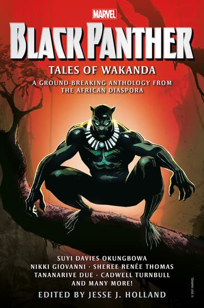 Celebrate T'Challa and His Kingdom with 'Black Panther: Tales of