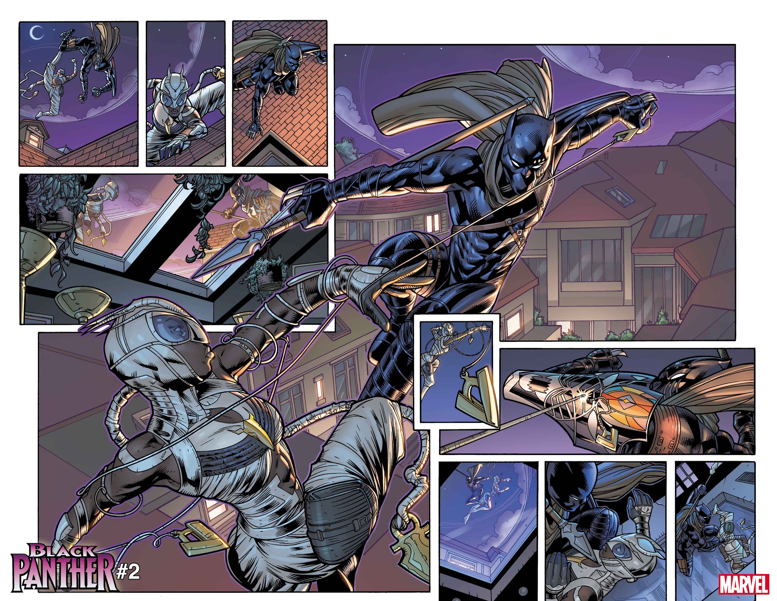 BLACK PANTHER #2 interior artwork by Chris Allen