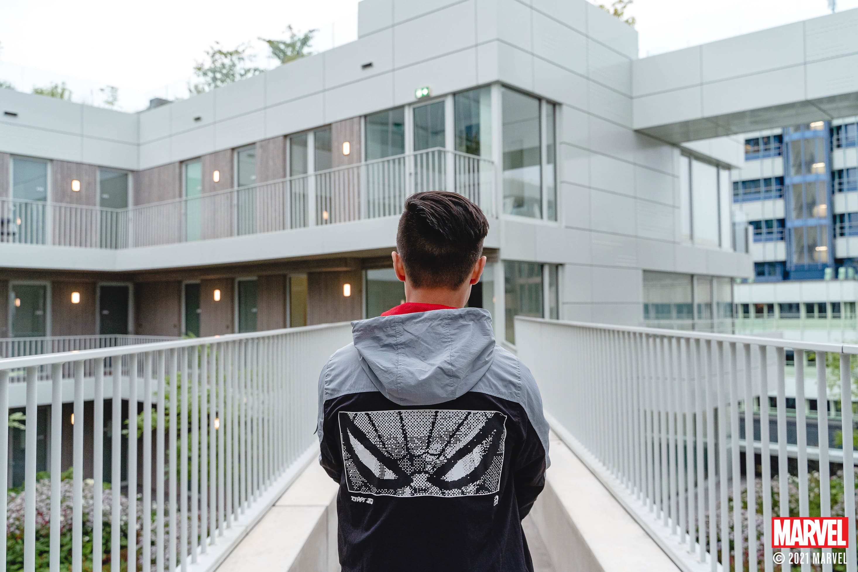 LIQUID X MARVEL SPIDER-MAN 1978 Collection