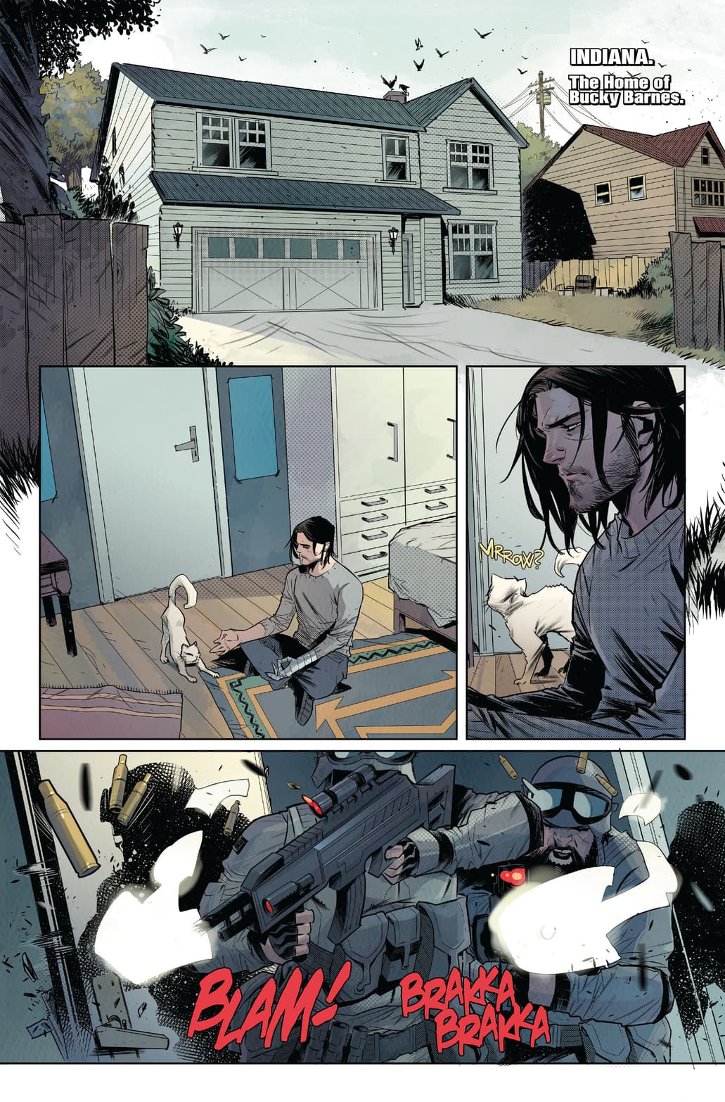 Falcon and Winter Soldier #1