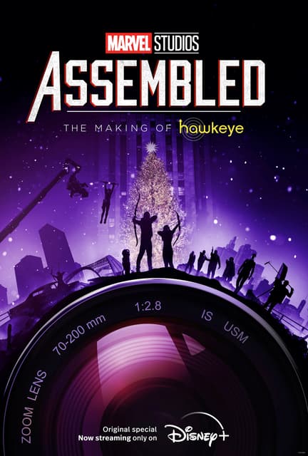 assembled: hawkeye