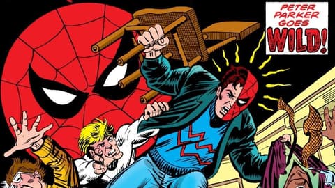 Image for The History of Spider-Man: 1980