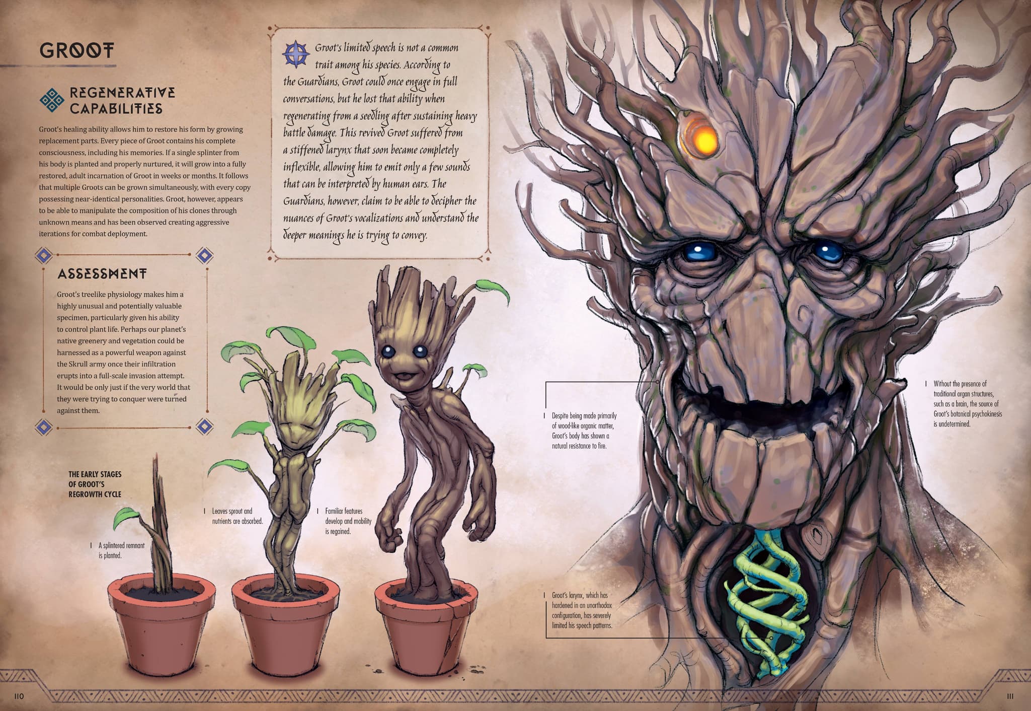 Groot artwork by Jonah Lobe from 'Marvel Anatomy: A Scientific Study of the Superhuman'