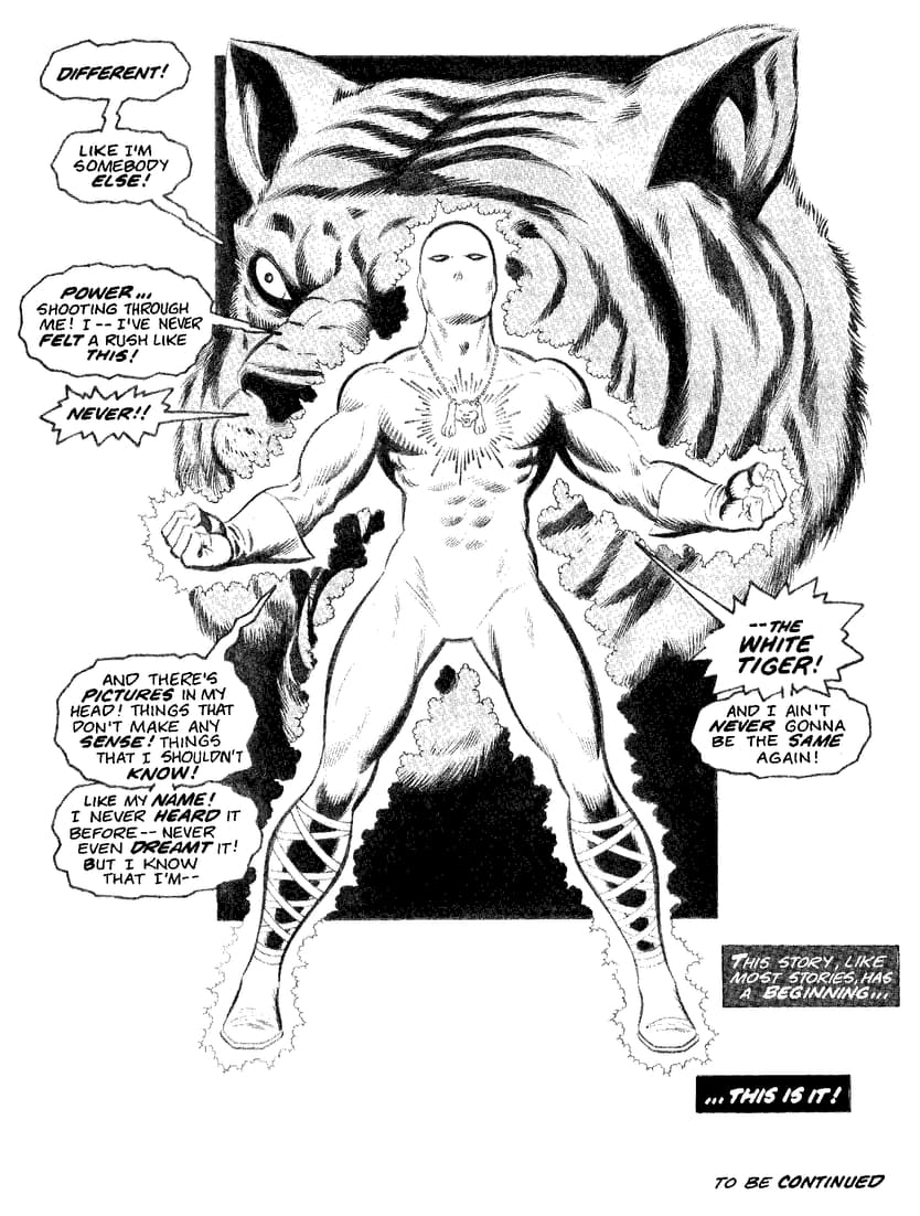 White Tiger (Hector Ayala) - DEADLY HANDS OF KUNG-FU (1974) #19