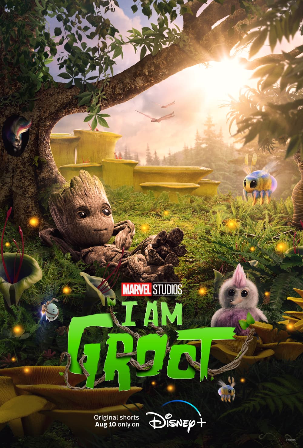 Groot