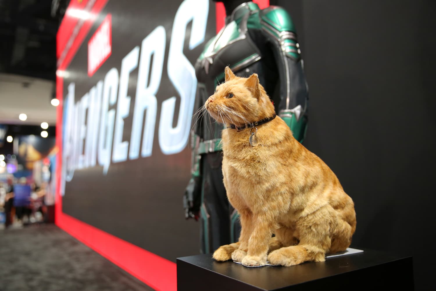 A model of Goose the Cat from Marvel Studios' Captain Marvel 