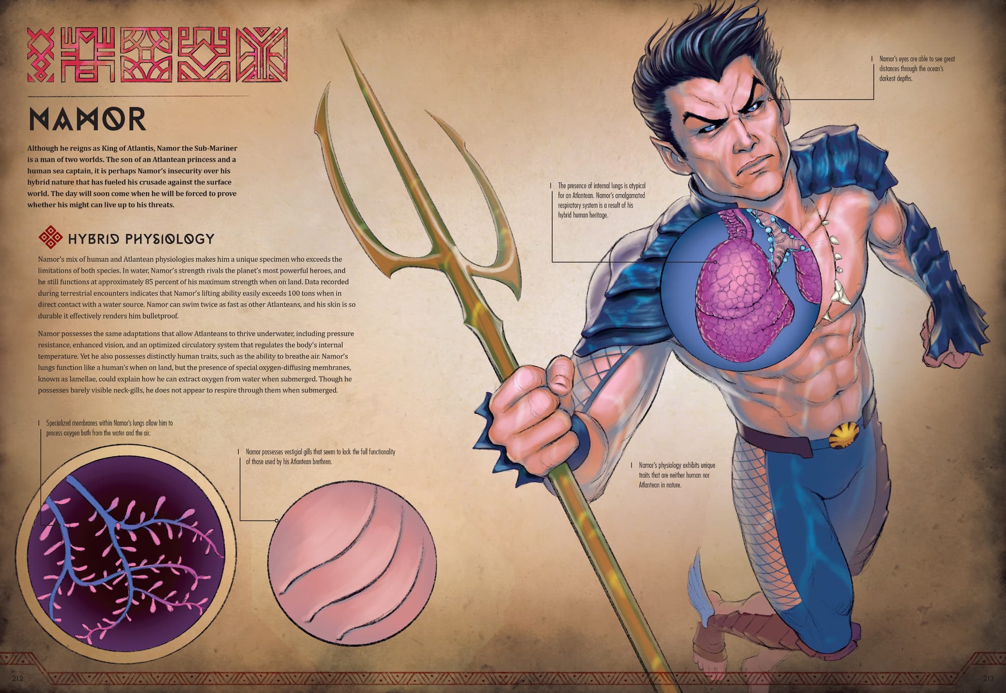 Namor artwork by Jonah Lobe from 'Marvel Anatomy: A Scientific Study of the Superhuman'