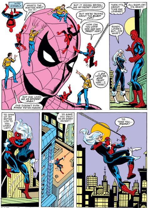 Peter considers revealing his identity to Black Cat