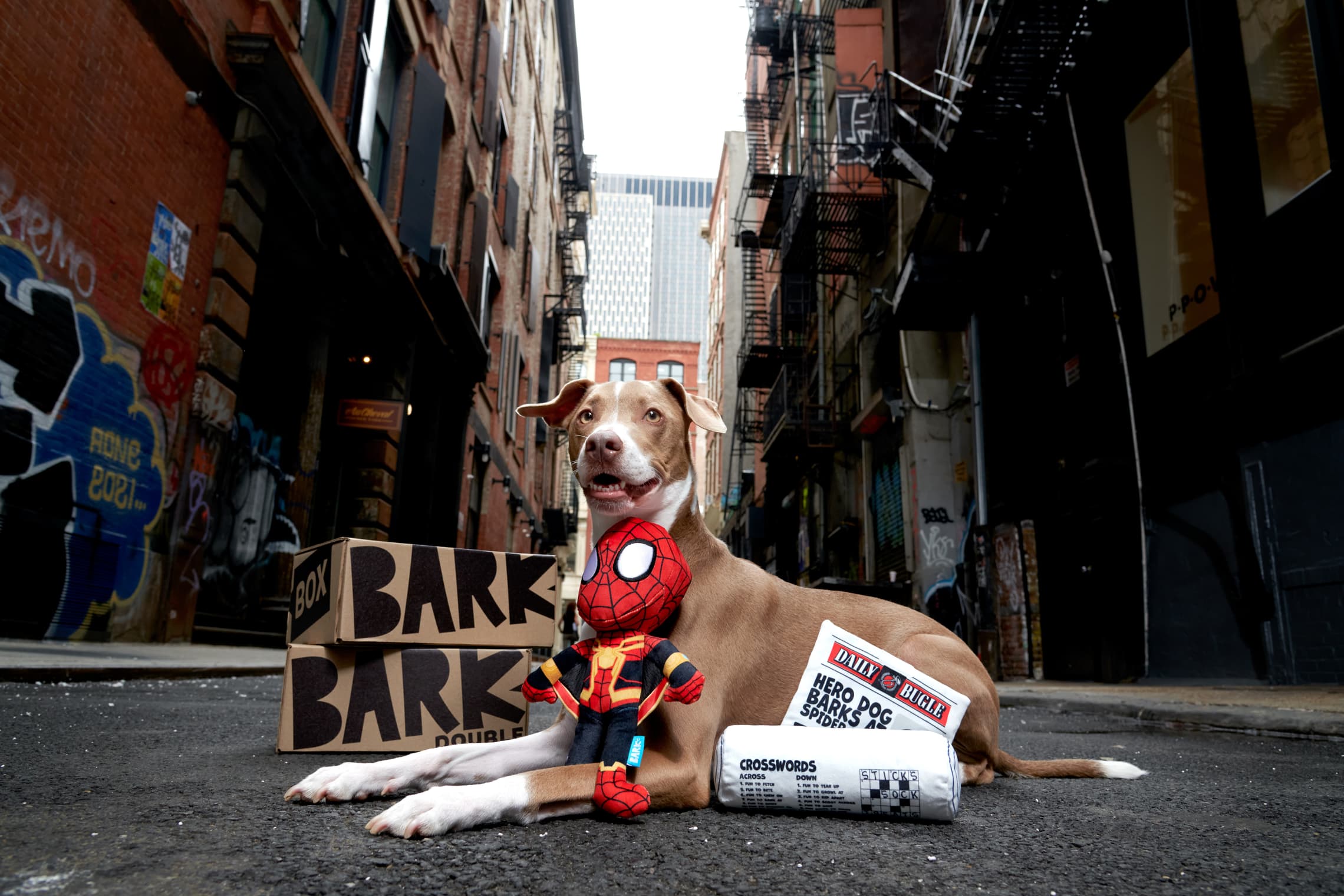 Marvel x Bark Box