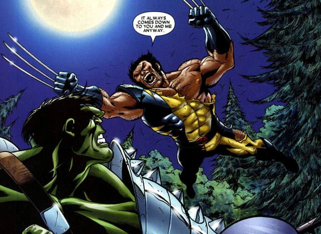 World War Hulk vs Wolverine