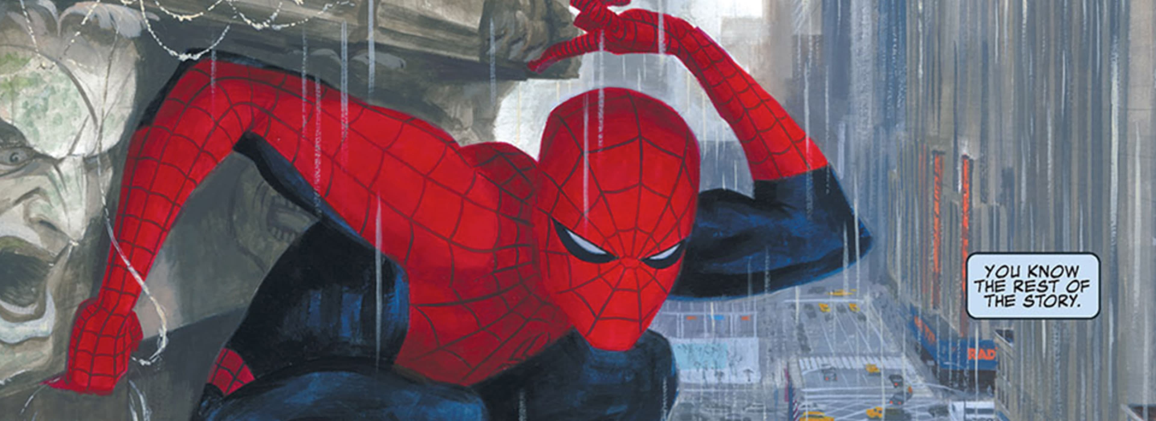 Spider-Man (Peter Parker) In Comics Full Report Page Divider