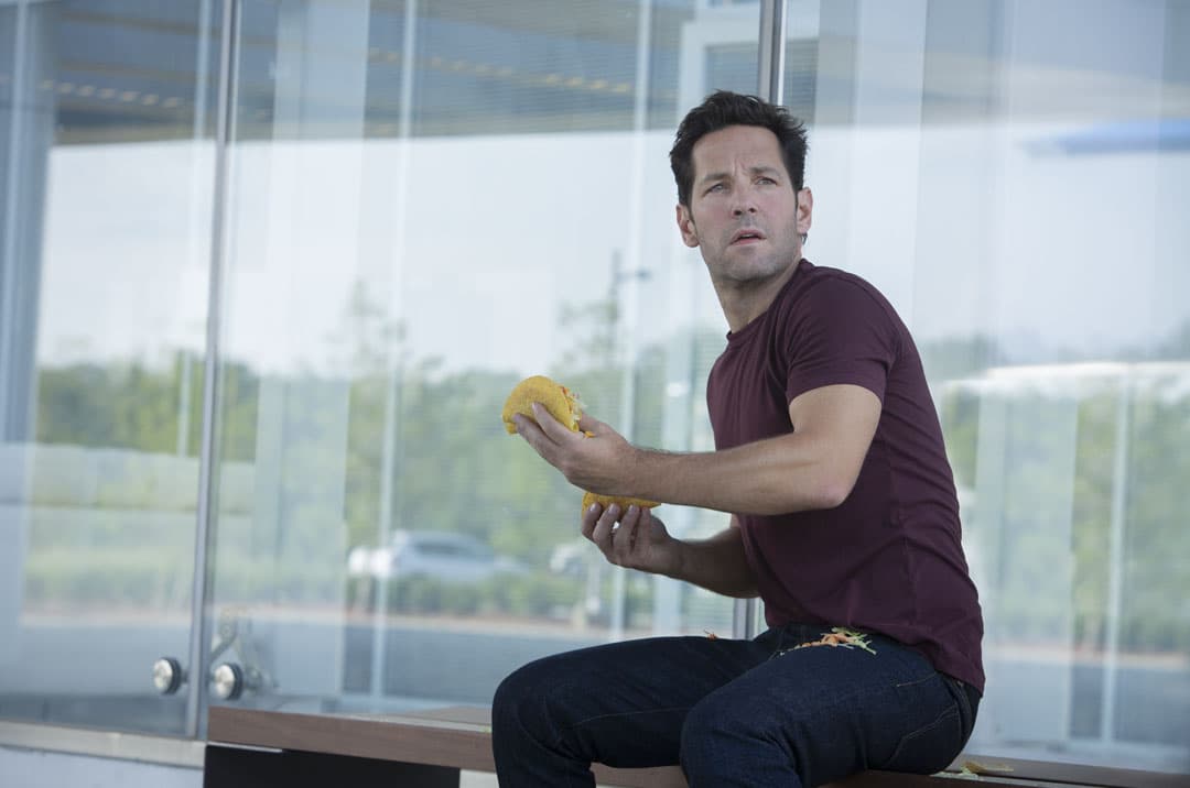 Ant-Man (Scott Lang)