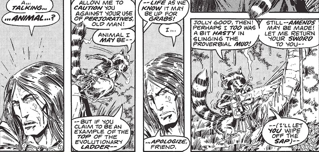 Rocket Raccoon In Comics Full Report Page Divider