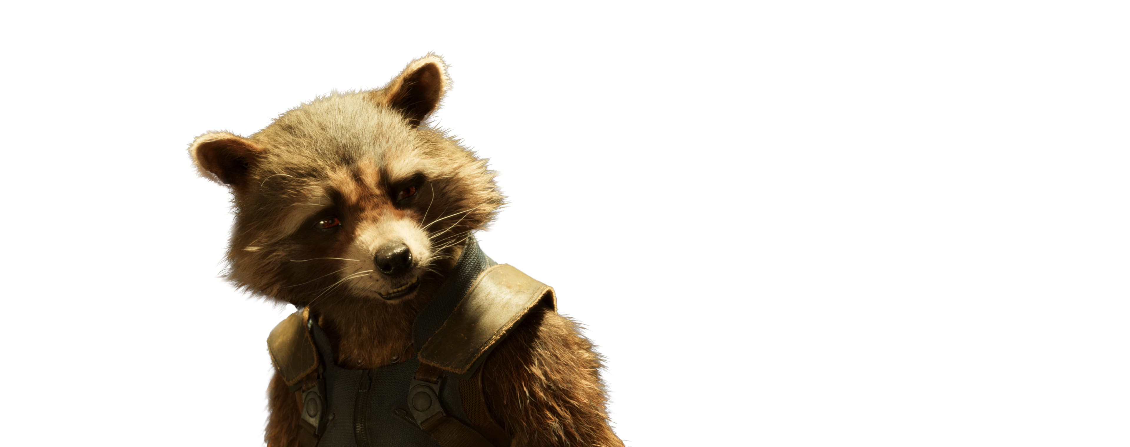 Rocket Raccoon
