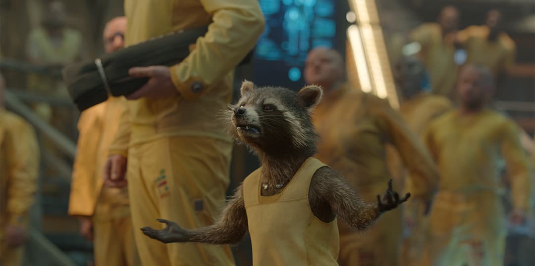 Rocket Raccoon gets Locked Up